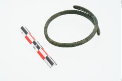 Foto von Bronzearmring (NHMW-PRAE-026612)